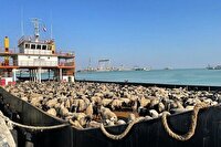 آغاز تجارت خارجی در بندر اروندکنار