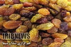 خرید حمایتی با پرداخت یارانه ، زنجان