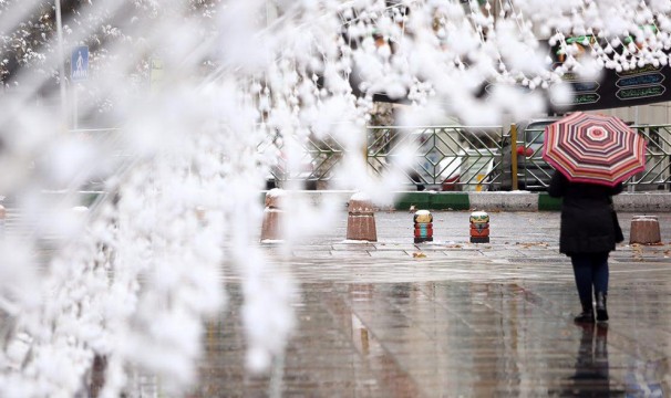 یخ زدگی 29 استان کشور یخ زدگی 29 استان کشور