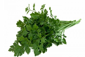 تأثیرات شگفت‌انگیز ۶ گیاه در مبارزه با سرطان