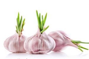 آنچه در باره سیر نمی‌دانید