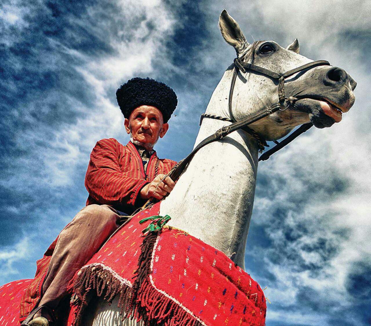 آغاز ثبت نام جشنواره ملی اسب اصیل ترکمن