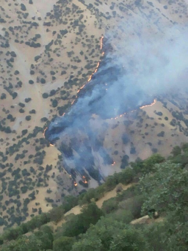 حریق دامان ارتفاعات ثلاث باباجانی را گرفت حریق دامان ارتفاعات ثلاث باباجانی را گرفت