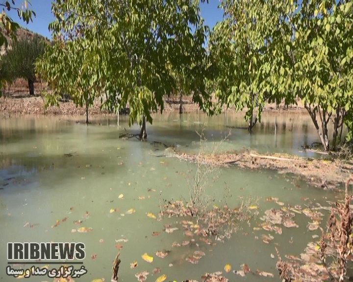 بحران خشکسالی و هدر روی آب آشامیدنی در شهرستان شیراز بحران خشکسالی و هدر روی آب آشامیدنی در شهرستان شیراز