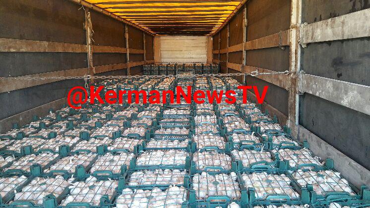 کشف12تن سیرقاچاق در نرماشیر