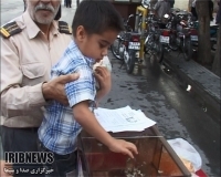 جمع آوری بیش از ۱۲ میلیارد ریال زکات فطره در فارس