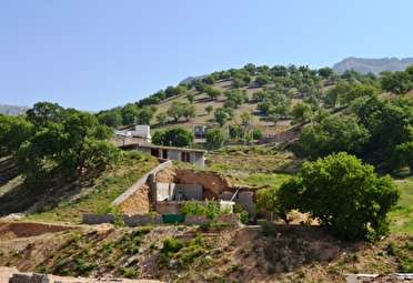 فرصت سازي ادارات خدمات رسان براي زمین خواران