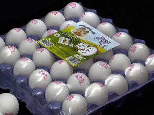 ماندگاری تخم مرغ بدون شناسنامه یک پنجم است ماندگاری تخم مرغ بدون شناسنامه یک پنجم است