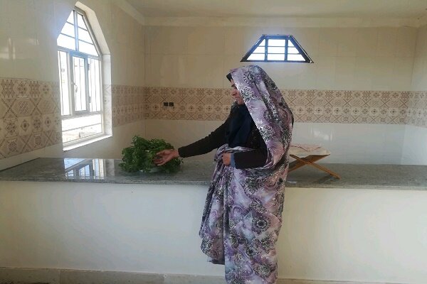 هزار و ۷۲ نفر از مددجویان استان فارس خانه دار شدند