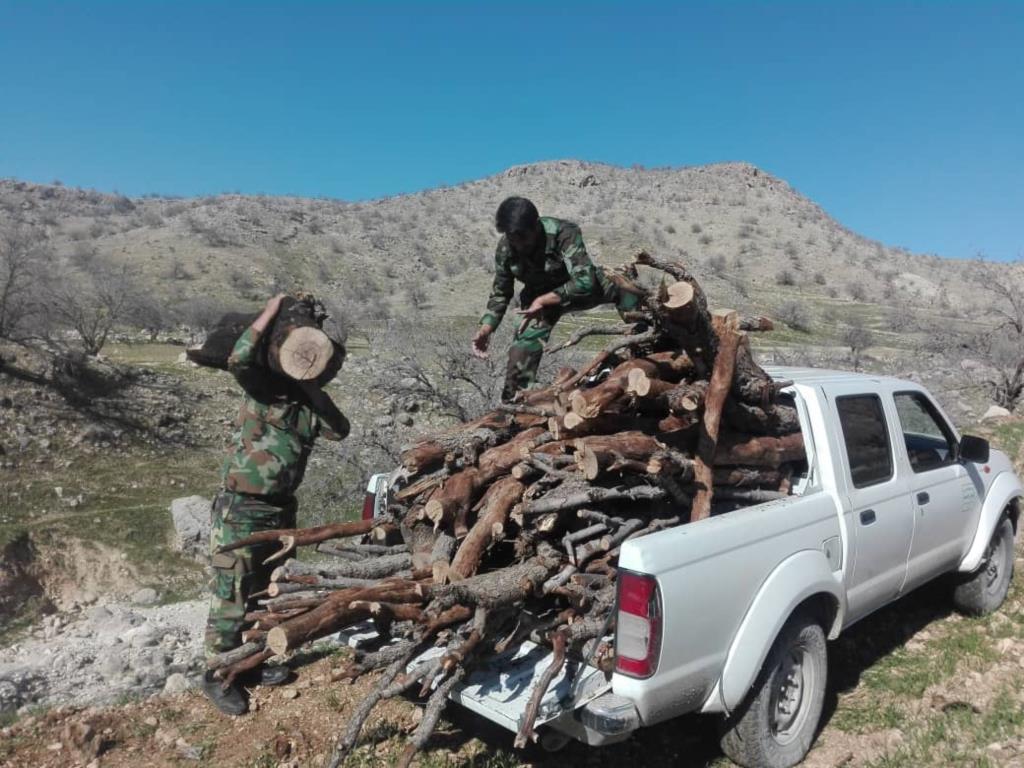 پاکسازی مناطق جنگلی شهرستان رستم از قاچاقچیان فرآورده&zwnj;های جنگلی