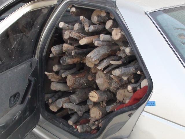 انهدام باند تخریب جنگل&zwnj;ها و مراتع در قیروکارزین