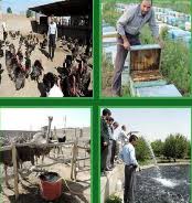 بهره برداری از ۱۵ طرح اقتصاد مقاومتی در میناب