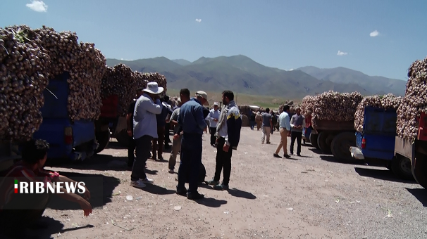 سیری که عطرش لب مرز خوش تر است