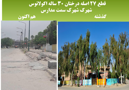 واکاوی قطع درختان مثمر نیروگاه برق بندرعباس واکاوی قطع درختان مثمر نیروگاه برق بندرعباس