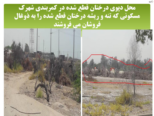 واکاوی قطع درختان مثمر نیروگاه برق بندرعباس واکاوی قطع درختان مثمر نیروگاه برق بندرعباس