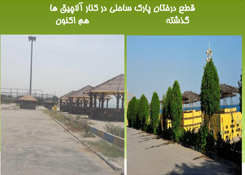 واکاوی قطع درختان مثمر نیروگاه برق بندرعباس واکاوی قطع درختان مثمر نیروگاه برق بندرعباس