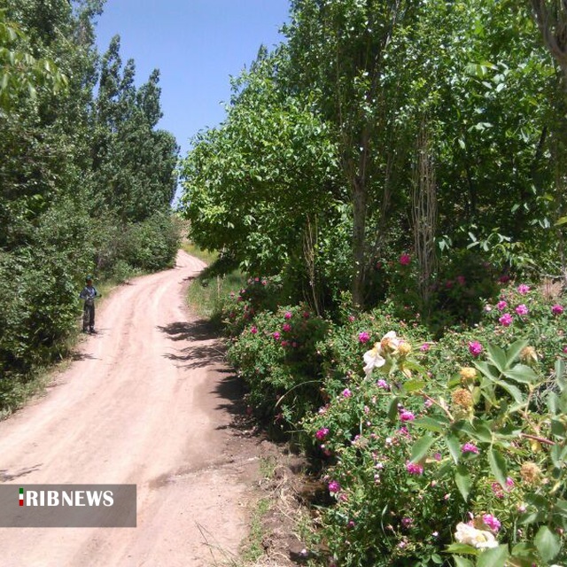 نماهای دیدنی طبیعی از  ابهر