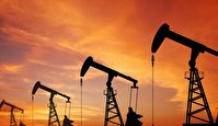 افزایش بهای نفت در بازار نیویورک افزایش بهای نفت در بازار نیویورک