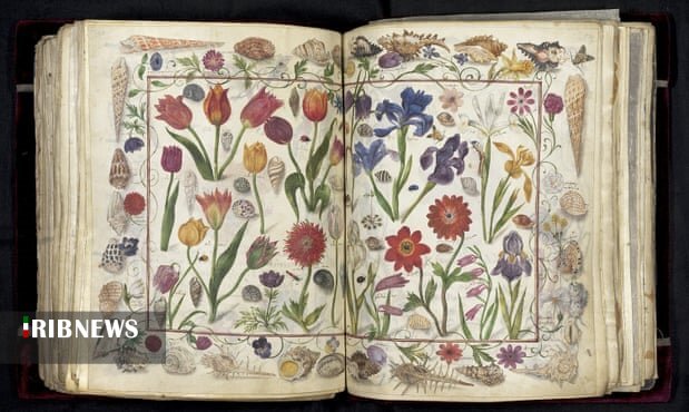 اقتصاد به روایت تصاویر در ۱۱ شهریور ۹۹ اقتصاد به روایت تصاویر در ۱۱ شهریور ۹۹