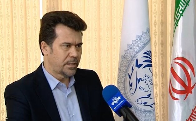 افزایش قیمت مرغ و کاهش قیمت تخم مرغ