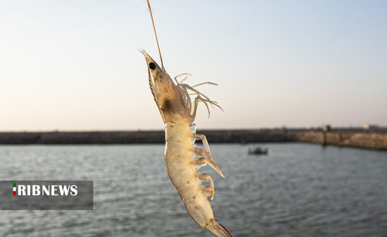 اقتصاد به روایت تصاویر ۳۰ مهر ۹۹