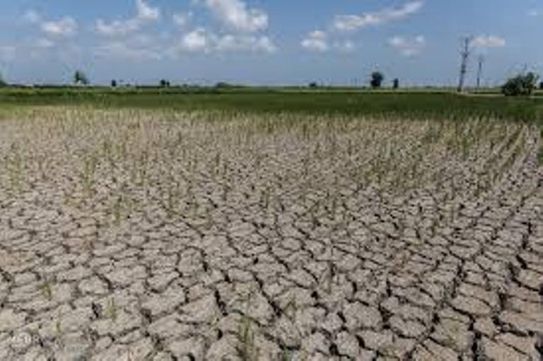 تداوم خشکسالی و کاهش ۴۰ درصدی بارندگی پاییزه در استان اردبیل