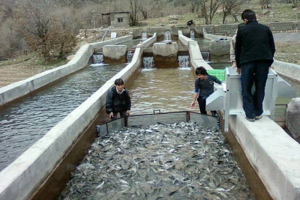 احداث ۷ مجتمع شیلاتی در خوزستان