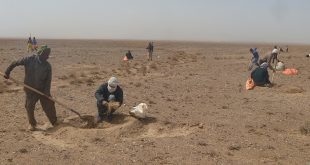 طرح ترسیب کربن در ۸ روستای نهبندان در دست اجرا است