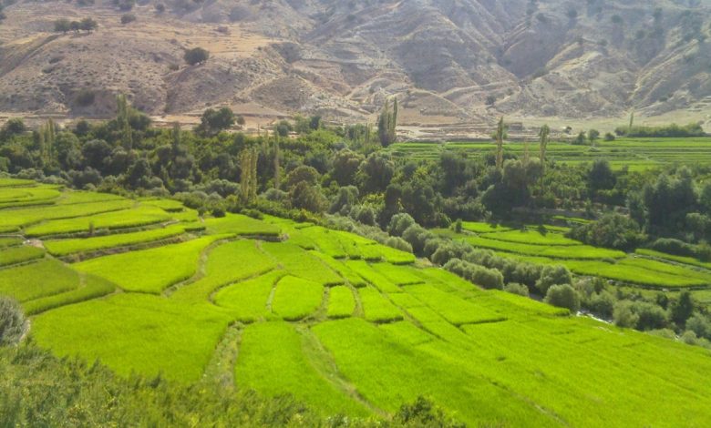 نبود سرپوش بر روی منبع تامین آب دو روستای باغملک