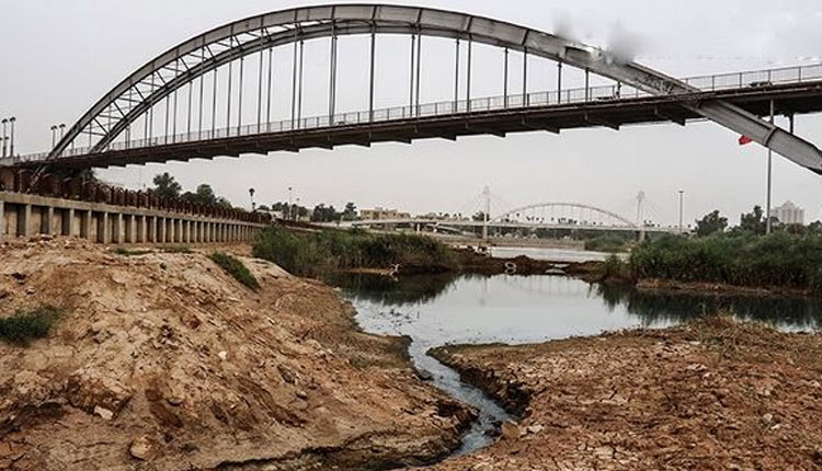 مرگ دلخراش آبزیان در آب‌های خوزستان؛ مقصر کیست؟
