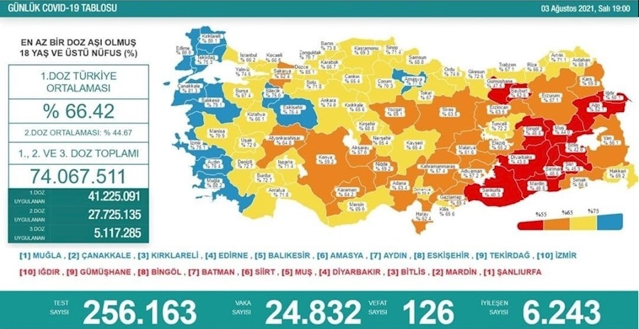 افزایش شمار مبتلایان کرونا در دو همسایه ایران