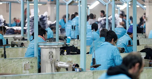 اشتغال بیش از 40 هزار زندانی در زندان های سراسر کشور اشتغال بیش از 40 هزار زندانی در زندان های سراسر کشور