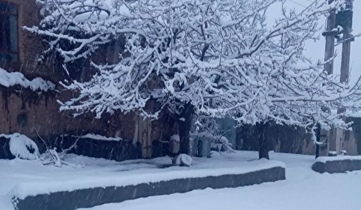 بارش برف سنگین در روستای زیرجان گناباد