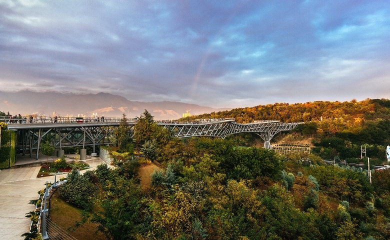 پیاده روی بر روی پل طبیعت را تجربه کرده اید؟ پیاده روی بر روی پل طبیعت را تجربه کرده اید؟