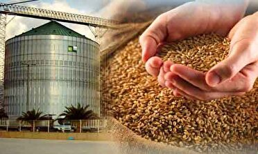 ذخیره ۴۷۴ هزار تن گندم در سیلو‌های فارس