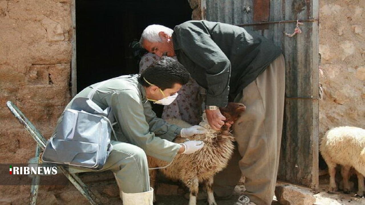 خدمت رسانی جهادی دامپزشکی در ۳۵ روستای خراسان شمالی