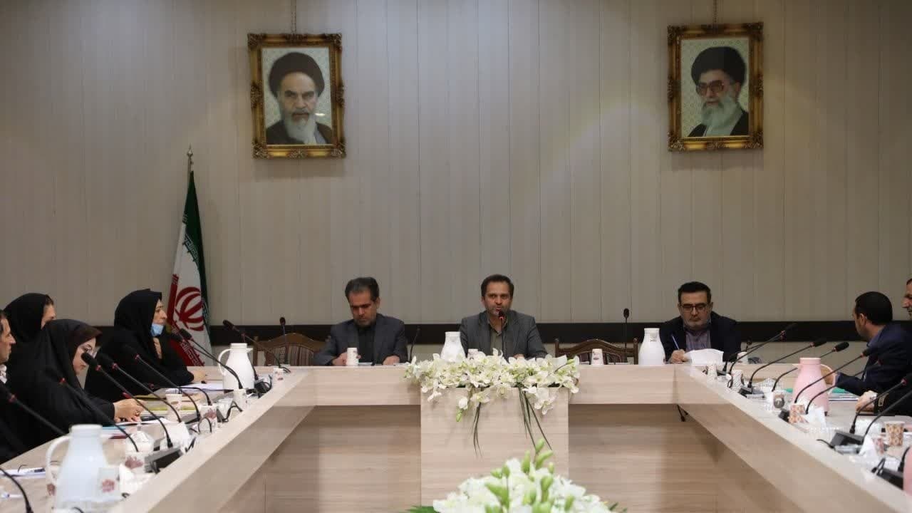 ضرورت مناسب سازی محیط شهری برای معلولان