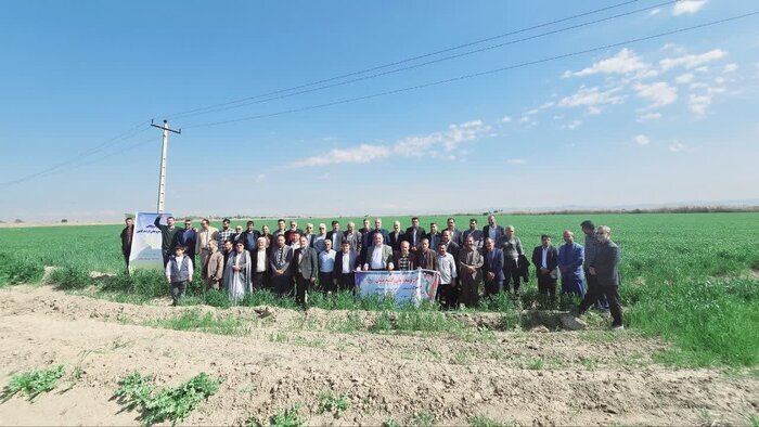 برگزاری تور ترویجی محقق مروجان ارشد کشاورزی کشور در دزفول