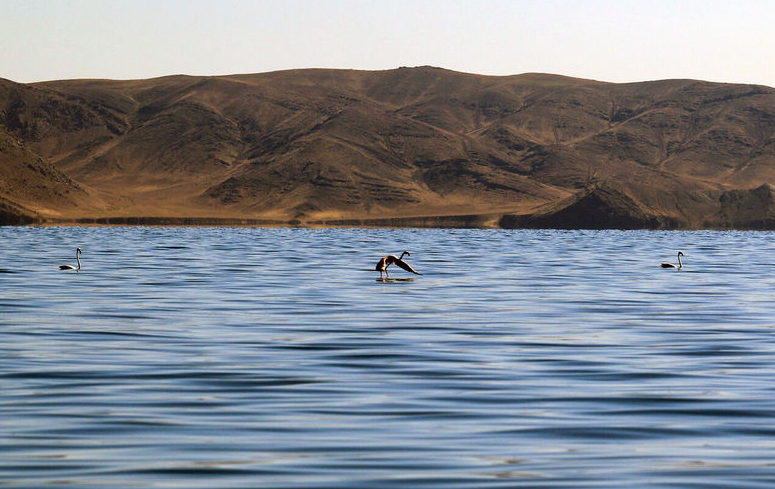 اجرای طرح نظافت و بهسازی در سر محیطبانی کبودان اجرای طرح نظافت و بهسازی در سر محیطبانی کبودان