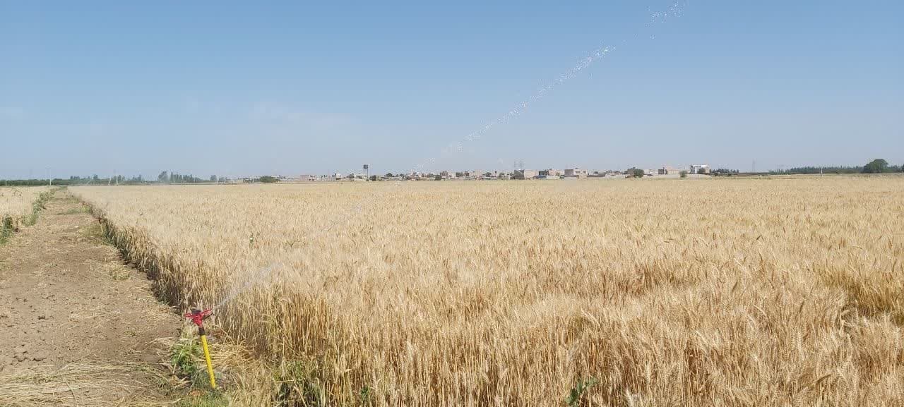 بهره برداری از ۱۸ طرح آبیاری نوین در شهرستان میاندوآب