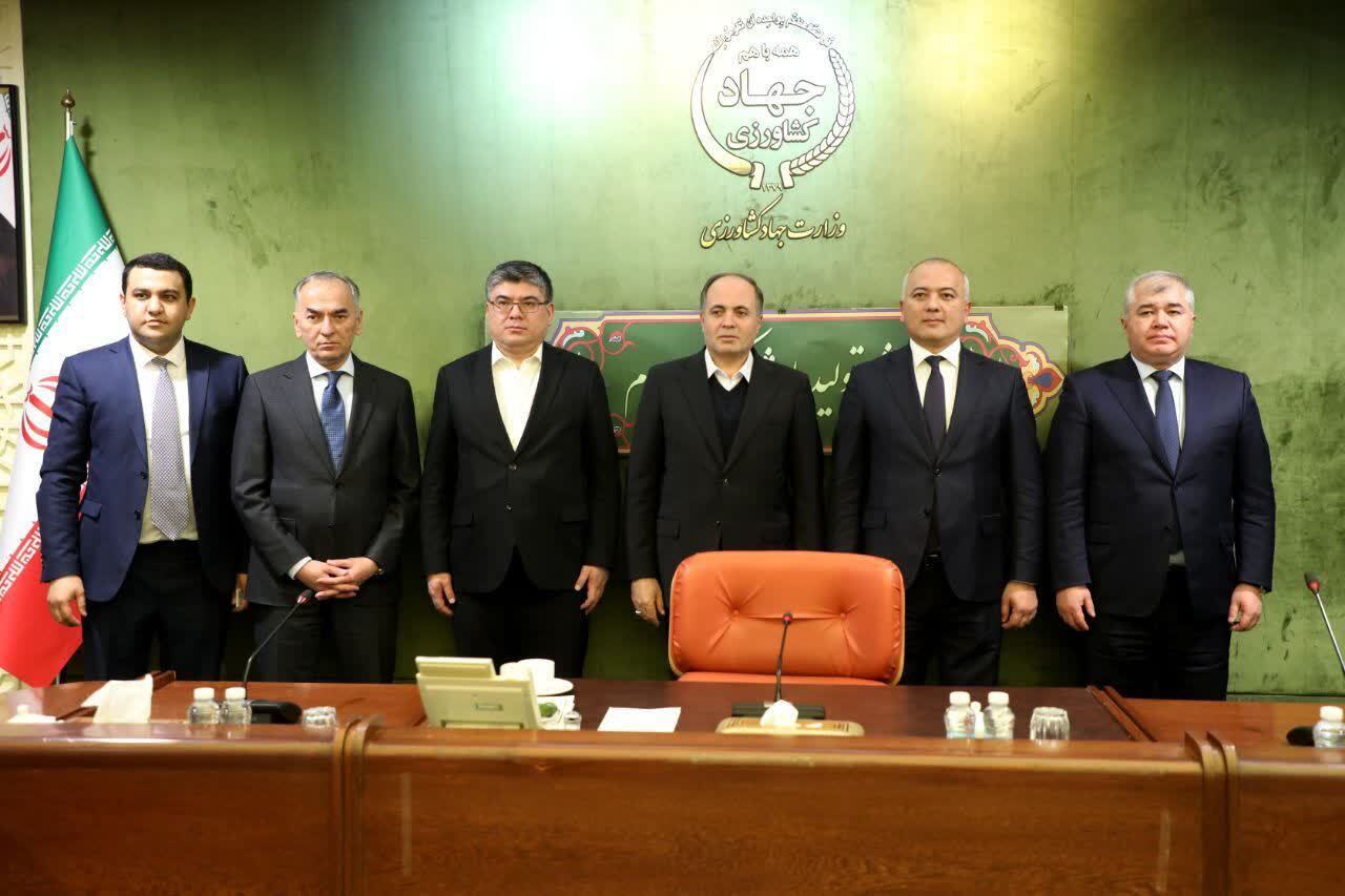 در حال تکمیل، لطفا رد نشود در حال تکمیل، لطفا رد نشود