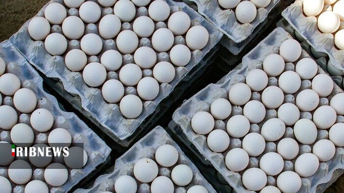 ارزش صادرات تخممرغ از قم به بیش از ۱۱.۵ میلیون دلار رسید ارزش صادرات تخممرغ از قم به بیش از ۱۱.۵ میلیون دلار رسید