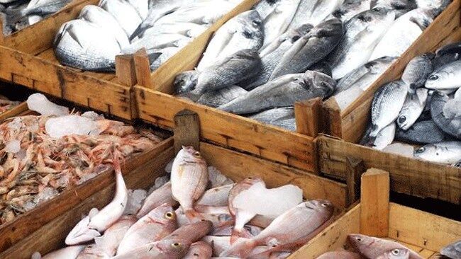 صادرات بیش از ۷۳ هزار تن ماهی و میگو از خوزستان با نظارت بهداشتی صادرات بیش از ۷۳ هزار تن ماهی و میگو از خوزستان با نظارت بهداشتی