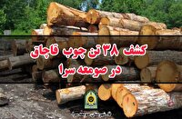 کشف ۳۸ تن چوب قاچاق در صومعه سرا