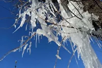 حاکم شدن شرایط یخبندان بر استان کردستان