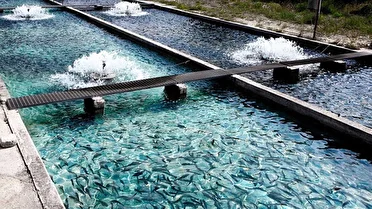 ساماندهی ۱۳ هزار هکتار از اراضی هندیجان برای اجرای طرح توسعه دریامحور 