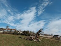 آسمان ابری و بارش پراکنده در مازندران