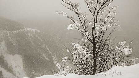 بارش برف و باران در بیشتر مناطق کشور