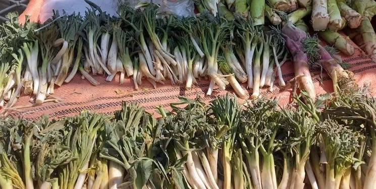 کمای، از سفرههای محلی تا بازارهای جهانی کمای، از سفرههای محلی تا بازارهای جهانی