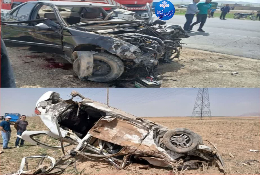 سرنشین و راننده نیمه راه